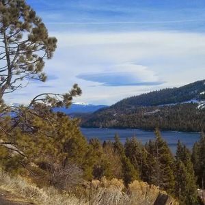 Meet your Posher, Posey